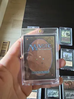 Magic The Gathering Beta Gaea's Liege Moderately Played - Image 2