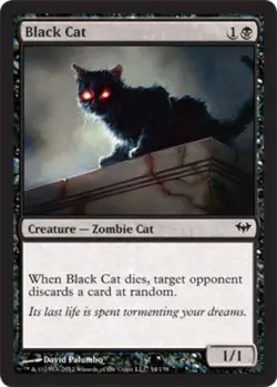 MTG Black Cat - Foil, Dark Ascension, Moderately Played, English - Image 1