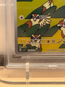 Pokemon Pidgey 136/129 Full Art Rare CSV4C 2025 RPA 10 Pristine Chinese Card - Image 4