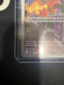 Pokemon TCG Charcadet 022 PFL Full Art Black Star Promo NM Pack Fresh 🐦‍🔥 - Image 4