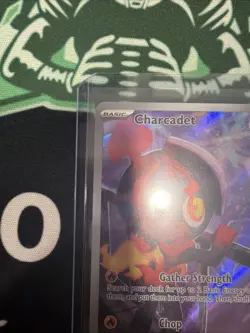 Pokemon TCG Charcadet 022 PFL Full Art Black Star Promo NM Pack Fresh 🐦‍🔥 - Image 5