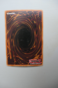 Yugioh: Harpie's Pet Baby Dragon EOJ-EN013 Ultimate Rare Near Mint - Image 3