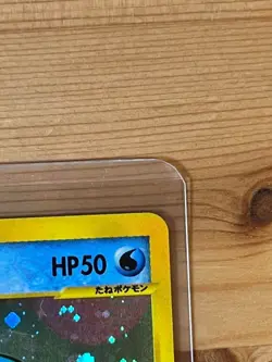 Squirtle 007/018 Mcdonalds Holo Promo 2002 Pokemon Card Game TCG Nintendo Japan - Image 5