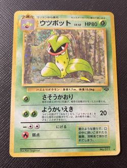 Victreebel - 1999 Vintage Pokemon - Jungle card #071 - HOLO - Japanese - RARE LP - Image 2