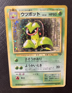 Victreebel - 1999 Vintage Pokemon - Jungle card #071 - HOLO - Japanese - RARE LP - Image 4
