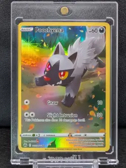 Poochyena GG33/GG70 Crown Zenith Galarian Gallery Full Art Holo Pokemon Card NM - Image 1
