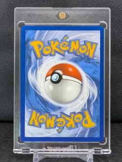 Poochyena GG33/GG70 Crown Zenith Galarian Gallery Full Art Holo Pokemon Card NM - Image 2