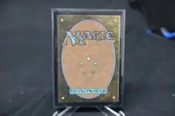 MTG Michelangelo Improviser TMNT TMT foil #0219 Mythic Borderless Legendary NM - Image 2