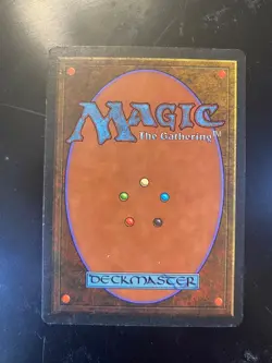 MTG Revised: Savannah (Near Mint) - Image 2