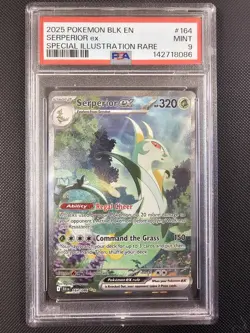 PSA 9 Pokemon TCG Serperior EX Special Illustration Rare Black Bolt Sir 164/086 - Image 1