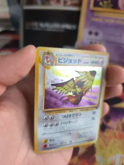 Pokemon Karte Card Tauboss Pidgeot Jungle Dschungel 1997 Holo Wotc japanese VG - Image 5