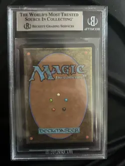 Rhystic Study (Anime Borderless) (Confetti Foil) Wilds of Eldraine BGS 9 - Image 2