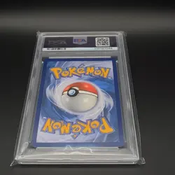 Pokemon Dachsbun ex 169/142 Stellar Crown Illustration Rare Holo PSA 10 - Image 2