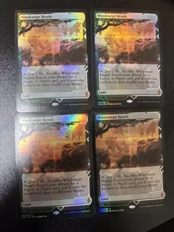 MTG Wilderness English Foil 4 Card Set Used Play Damage Not Recommended - Image 1