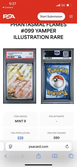 Yamper 099/094 IR 2025 Pokemon Phantasmal Flames PSA 9 Mint - Image 3