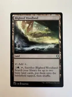 Blighted Woodland - MTG Commander Legends: Battle for Baldur's Gate - NM - Image 1