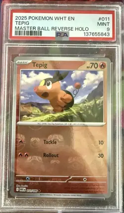 Tepig Master Ball Pattern PSA 9 011/086 White Flare Holo English Graded - Image 1