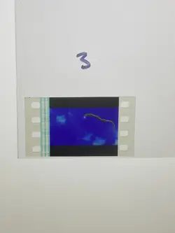 Pokemon Destiny Deoxys Movie Authentic 35mm Film Cell Rayquaza - Image 1