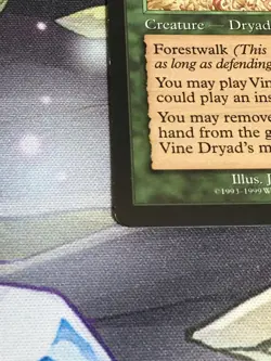 C4913 MAGIC MTG MERCADIAN MASQUES VINE DRYAD #284 RARE LP - Image 4