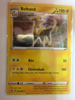 Boltund 076/202 Holo Rare Sword & Shield Pokemon Holo Near Mint - Image 1