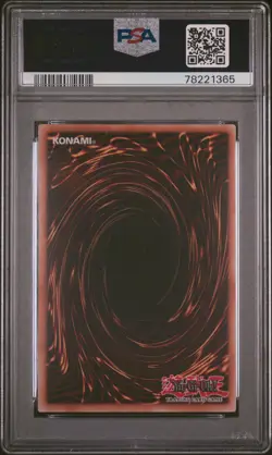 Dark Magician Girl DPBC-EN009 1st Edition Super Rare Yugioh PSA 8 *365 - Image 2