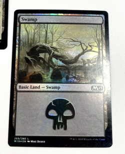 MTG Mountain Island Plains Forrest & Swamp Core 2018 Regular Land Promo Foil - Image 4