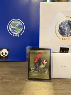 WWF LIFE TCG Birds Full Art - White-Crested Turaco - Pop 1000 - 41/130 - Image 1