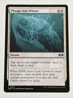 MTG Wilds of Eldraine Plunge into Winter 0022 NM - Image 1