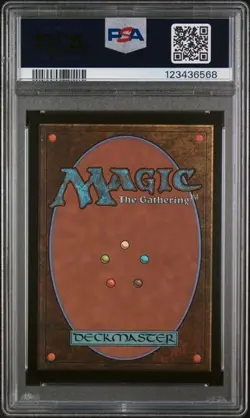 2025 MTG Final Fantasy Tidus, Yuna's Guardian Extended Art Foil #187 PSA 9 - Image 2