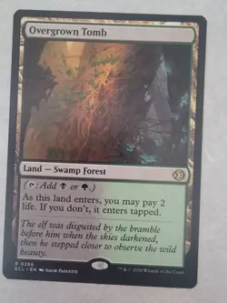 Magic The Gathering: Overgrown Tomb Lorwyn Eclipsed Regular - Image 1