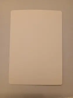 Forest Foil Signed Artist Proof MTG - Image 2