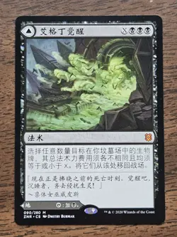 Agadeem's Awakening/Agadeem, The Undercrypt (ZNR) Chinese ZHS NM - Image 1