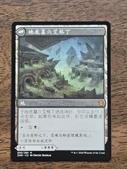 Agadeem's Awakening/Agadeem, The Undercrypt (ZNR) Chinese ZHS NM - Image 2