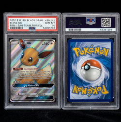 Pokemon Eevee GX SM242 SM Black Star Promo TAG TEAM Holo PSA 10 - Image 1