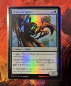 1x Netcaster Spider | FOIL | Oath of the Gatewatch | MTG Magic Cards - Image 1