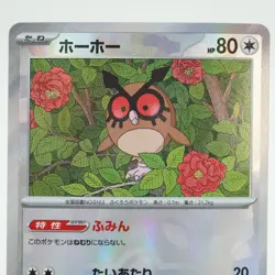 Master Ball Reverse Hoothoot 127/187 Terastal Festival Near Mint Pokemon 2024 - Image 2