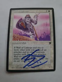 Wall Of Caltrops Artist Proof SIGNED Brian Snoddy Mtg Legends Set - Image 1