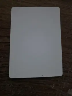 Wall Of Caltrops Artist Proof SIGNED Brian Snoddy Mtg Legends Set - Image 2