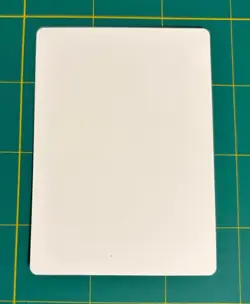 Remove Soul Artist Proof SIGNED Brian Snoddy Mtg Legends Magic The Gathering - Image 2