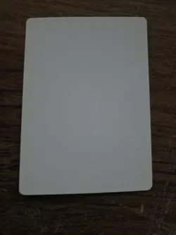 Subdue Artist Proof SIGNED Brian Snoddy Mtg Legends Set - Image 2