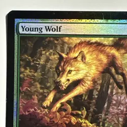 Young Wolf 134/158 Common FOIL Card Dark Ascension Magic the Gathering MTG LP - Image 3