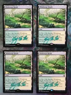 4x Windswept Heath KTK MTG Signed Yeong-Hao Han Artist Autograph Playset LP - Image 1