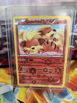 Pokemon NM-M Growlithe RC4/RC25 Radiant Collection 2013 Reverse Holo - Image 1