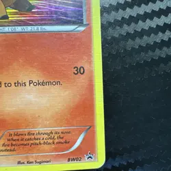 Pokemon Card TCG Tepig BW02 Black & White Holo MP- - Image 5