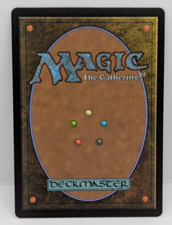 Raph & Mikey, Troublemakers Teenage Mutant Ninja Turtles Regular NM MTG - Image 2