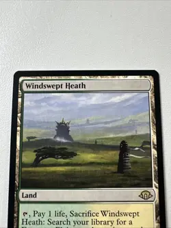 Windswept Heath Modern Horizons 3 Regular - Image 3