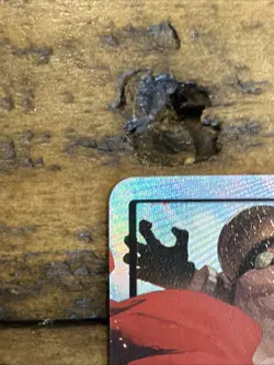 One Piece TCG OP15-002 Lucy Alt Art Leader Adventure on KAMI's Island English 🔥 - Image 3