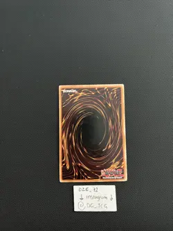 Yugioh - Mother Grizzly - SD4-EN005 - Common - 1st Edition - NM/VLP - Image 5