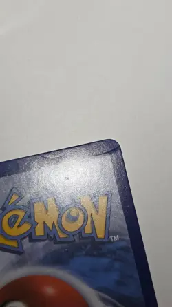 Pokemon TCG Snorlax and Eevee Illustration Promo Card SM169 - Image 5
