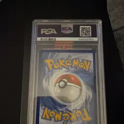 Pokemon Phanpy Illustration Rare Holo 205/191 Sv08 Surging Sparks PSA 10 2024 - Image 2